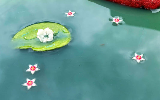 HOW TO : MAKE A MINI WATER LANDSCAPE